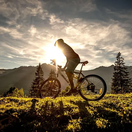 فندق Germania Gastein - Ganzjaehrig Inklusive Alpentherme Gastein 4*