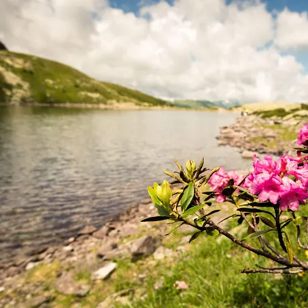 Germania Gastein - Ganzjaehrig Inklusive Alpentherme Gastein & Sommersaison Inklusive Gasteiner Bergbahnen Hotel 4*