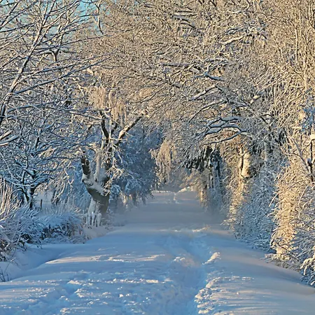 호텔 Germania Gastein - Ganzjaehrig Inklusive Alpentherme Gastein & Sommersaison Inklusive Gasteiner Bergbahnen 배드호프가스타인