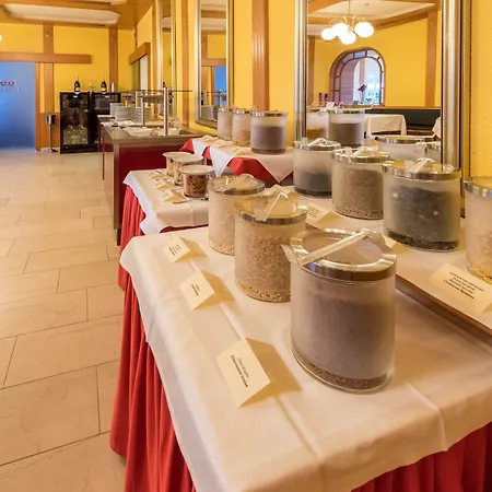 Germania Gastein - Ganzjaehrig Inklusive Alpentherme Gastein فندق 4*