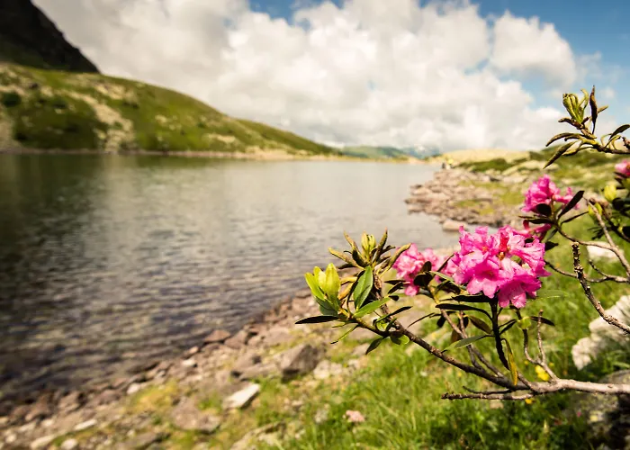 Germania Gastein - Ganzjaehrig Inklusive Alpentherme Gastein & Sommersaison Inklusive Gasteiner Bergbahnen 酒店 4*